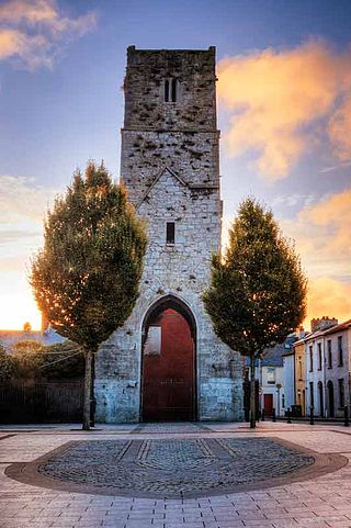 <span class="mw-page-title-main">Red Abbey, Cork</span> Ruined Augustinian abbey in Cork, Ireland