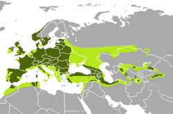 Distribución histórica (verde claru) y actual (verde escuru) del venáu común en Eurasia.