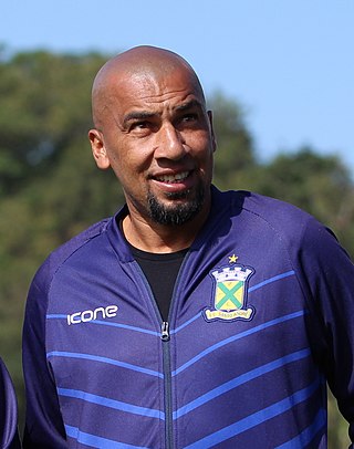 <span class="mw-page-title-main">Renato Peixe</span> Brazilian footballer and manager