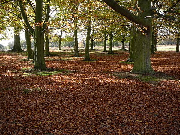 The park is a national nature reserve.