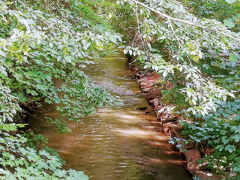 File:River Hahle (Rhume) in Gieboldehausen, Lower Saxony 04.jpg