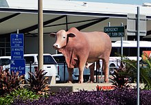 Bull statue at Rockhampton Airport, 2022 RockhamptonAirport7.jpg