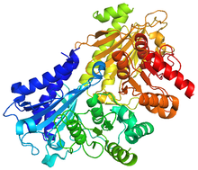 SBPase crystallographic structure.png