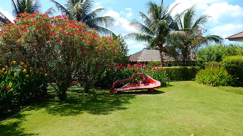 File:Samui Airport, 2015 febr. - panoramio (1).jpg