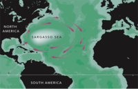 Approximate extent of the Sargasso Sea
