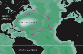 sargaško more karta prosvjetiteljski mit   crkva je naučavala da je zemlja ploča  sargaško more karta