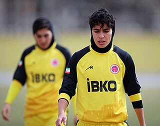 <span class="mw-page-title-main">Sarshin Kamangar</span> Iranian footballer