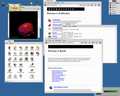 Vorschaubild für BeOS