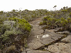Un sentier traversant la zone autrefois couverte par la réserve naturelle de la Roche Écrite