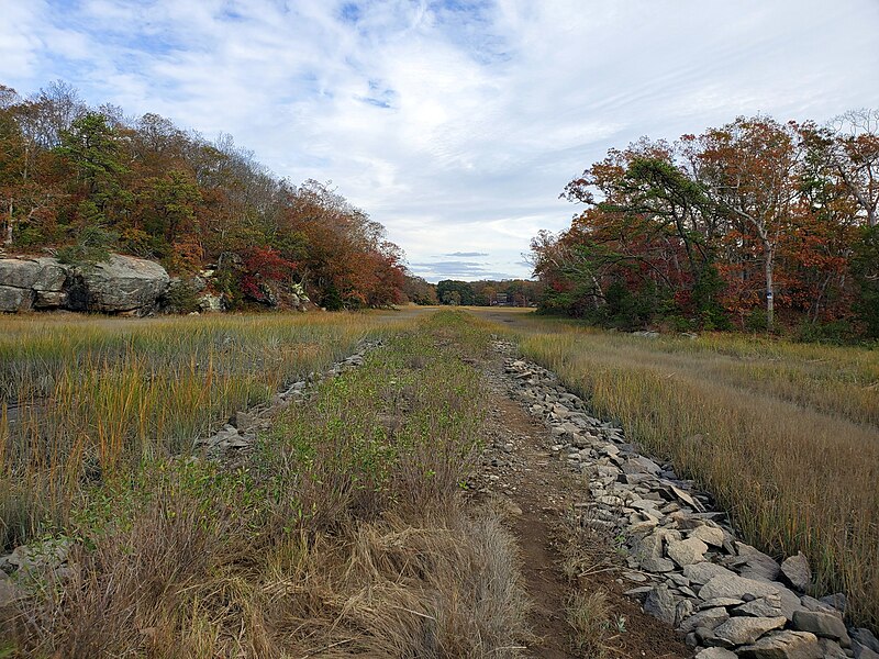 File:Shore Line Electric Railway causeway in Reed Preserve (1), October 2020.jpg