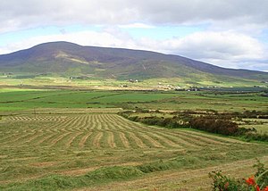 Silage waiting for collection - geograph.org.uk - 220260.jpg