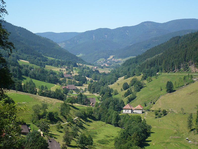 File:Simonswälder Tal 150707.JPG