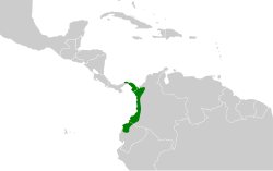 Distribución geográfica del mosquero del Chocó.