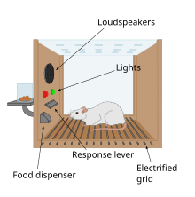 Skinner box scheme 01.svg