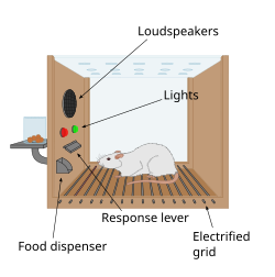 Skinner box Skinner box scheme 01.svg