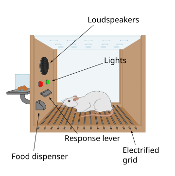 Operant conditioning chamber