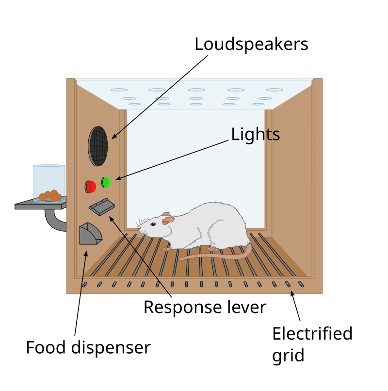 https://upload.wikimedia.org/wikipedia/commons/thumb/b/b4/Skinner_box_scheme_01.svg/800px-Skinner_box_scheme_01.svg.png