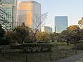 Hama-rikyū Garden