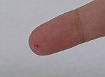 Miniatuur voor Splinter (voorwerp)