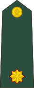 Sri Lanka-ejército-DE-1a.svg