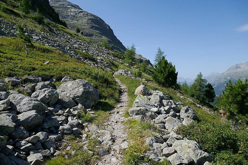 File:St. Moritz - trail 5.jpg