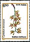 Stamp of India - 1991 - Colnect 164206 - Cymbidium devonianum.jpeg