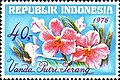 Vanda putri serang