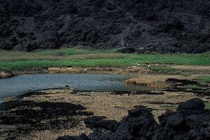 ʻĀhihi-Kīnaʻu Natural Area Reserve