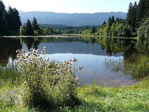 Oberer Lindegger See