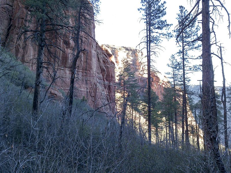 File:Sterling Pass Trail To Vultee Arch Trail, Sedona, Arizona, Coconino County - panoramio (18).jpg