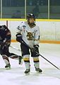 Stoney Creek Jr. Sabres