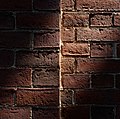 Image 929Sun shining on a brick wall, Harvard Yard, Cambridge, Massachusetts, US