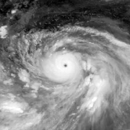 Супер Тайфун Үміті (1979) .jpg