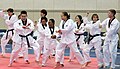 Taekwondo Camp MND 08 (17219341492).jpg