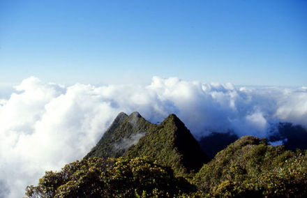 Mt. Aorai