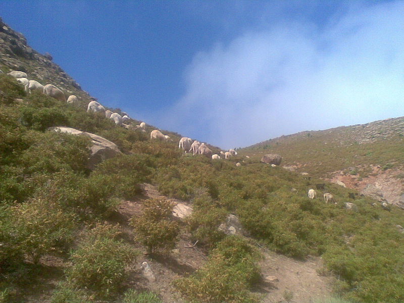 File:Takaya,tighroudin.jpg