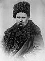 Taras Shevchenko 1859 (zoom).jpg