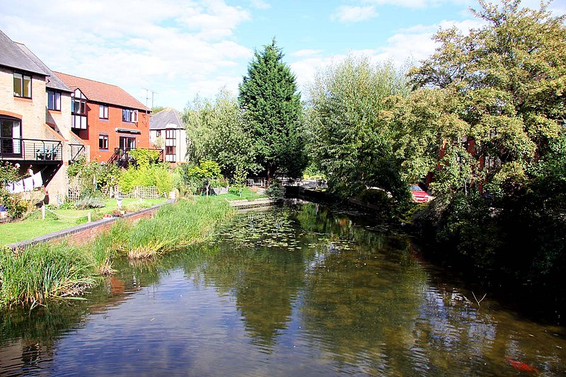 File:Thames backwater in Reading - geograph.org.uk - 2125830.jpg
