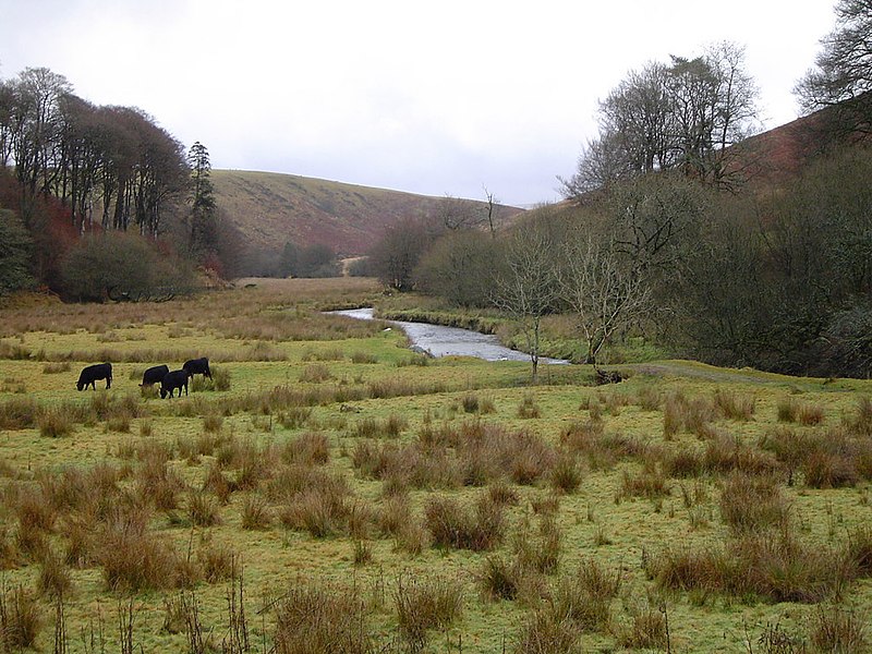 File:The River Barle at Simonsbath, Exmoor - geograph.org.uk - 1754208.jpg