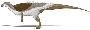 Miniatura per Claorhynchus