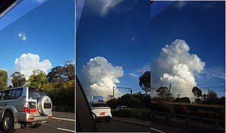<span class="mw-page-title-main">Cumulonimbus flammagenitus</span> Thunderstorm cloud that forms above a heat source