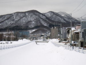 富丘川 2005年1月18日撮影