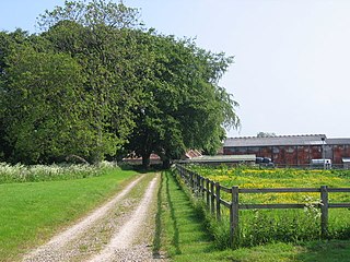 <span class="mw-page-title-main">Towthorpe, East Riding of Yorkshire</span> Hamlet in the East Riding of Yorkshire, England