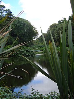 Trebah Garden in Cornwall, England