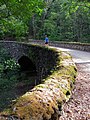 Tufa bridge in Schenley Park, Pittsburgh