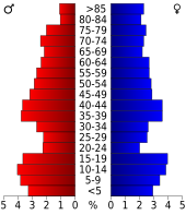 Bevolkingspiramide Anderson County