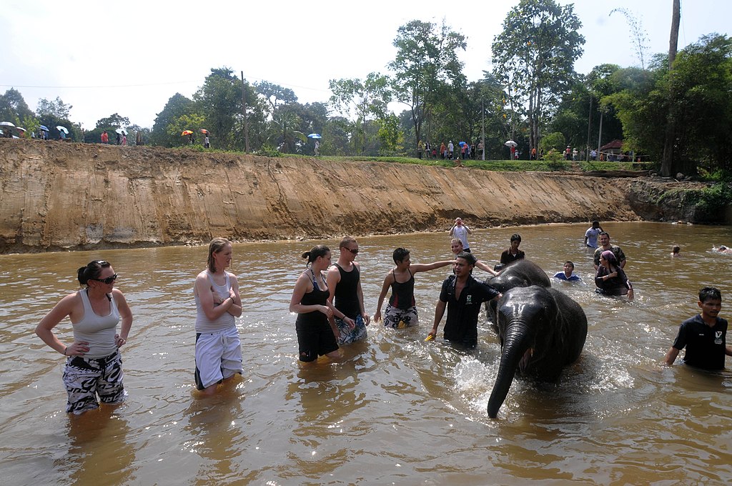 Kuala Gandah elephant sanctuary