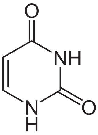 <span class="mw-page-title-main">Uracil</span> Chemical compound of RNA