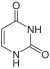 uracile