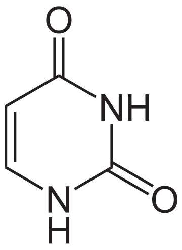 Uracil